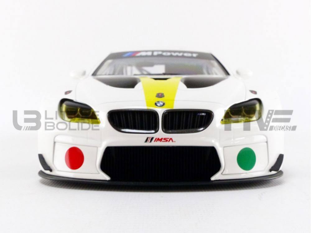 1/18 BMW M6 GTLM Art Car U797