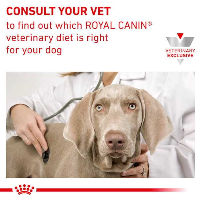 Wet Dog Food O197612