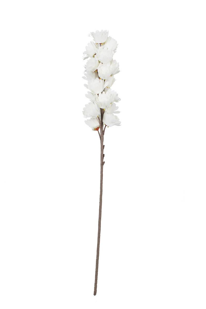 Botanica E65994