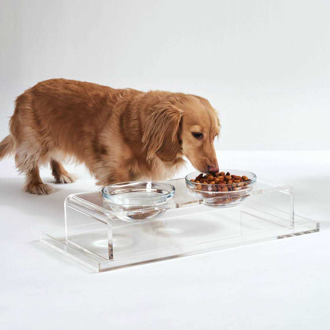 Clear Elevated Glass Bowl Feeder K188