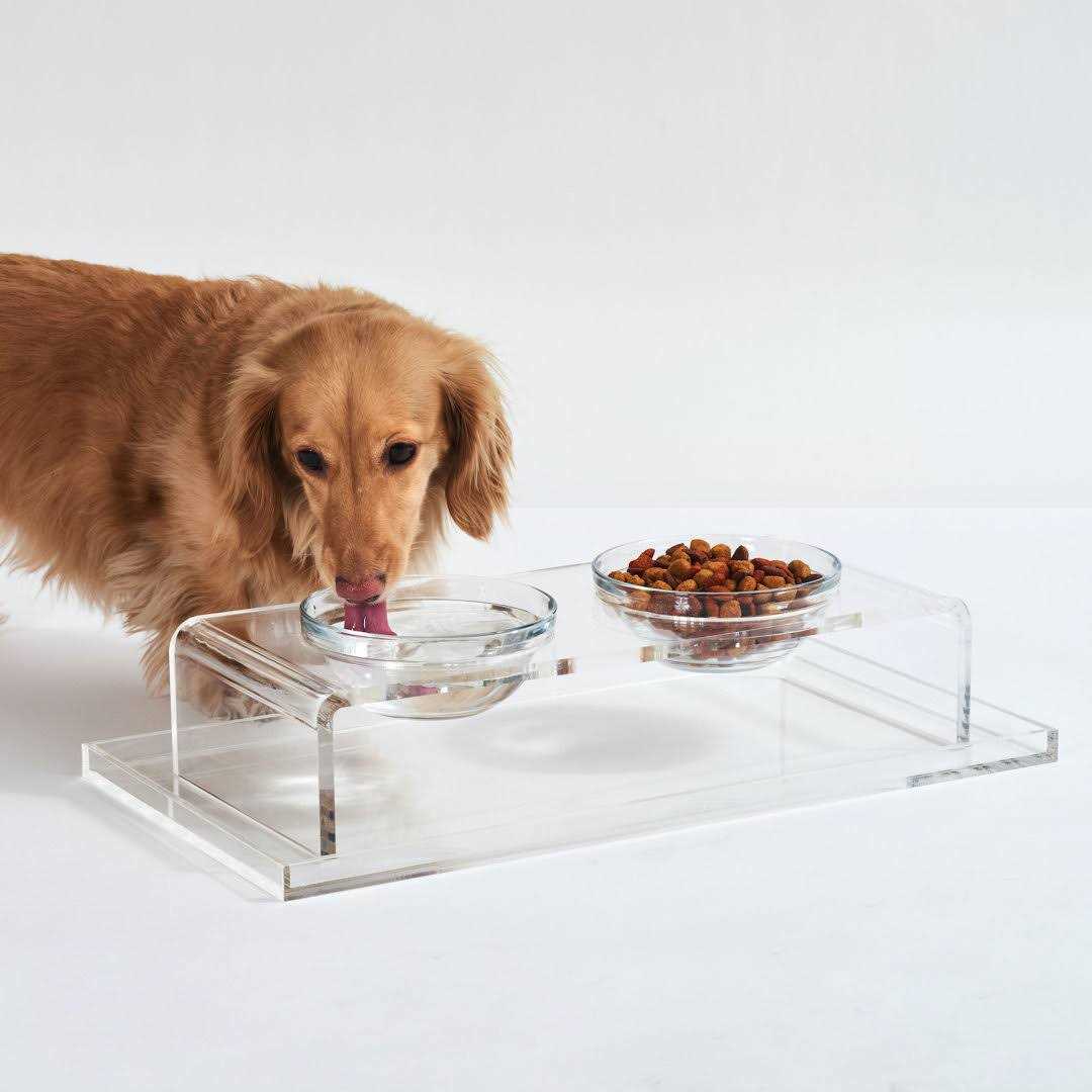 Clear Elevated Glass Bowl Feeder K188